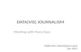 Data Visualization and Journalism Workshop: Many Eyes