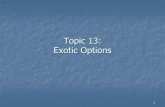 Exotic Options 1