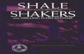 Robinson L. - Shale Shaker and Drilling Fluid Systems