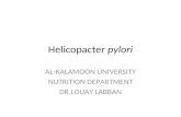 C:\Documents And Settings\Louay Labban Uok\Desktop\All\Powerpoints\Helicopacter Pylori
