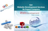 Get website development services by expert company