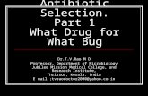 Antibiotic selection part 1