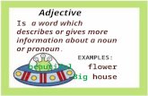 Adjectives and adverbs presentation
