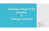 Marketing strategy for the promotion of Arunachal Pradesh