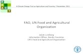 FAO, UN Food and Agricultural Organization