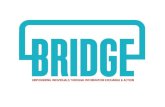 Bridge demo presentation