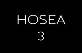 Bible and Culture 2014 - Hosea day 3