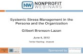 Systemic Stress Management in the Persona and the Organization