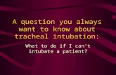 Tracheal Intubation