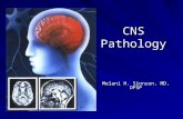8679901 central-nervous-system-pathology