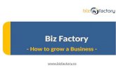 Biz factory  how to grow a business