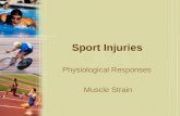 Sport injuries physiological resposes (muscle strain)