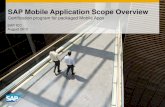 SAP Mobile Application Scope Overview