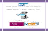 SAP FINANCIALS-FOREIGN CURRENCY TRANSACTIONS