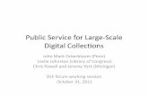 Public Service for Large-Scale Digital Collections