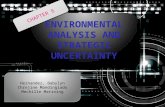 Environmental analysis and strategic uncertainty