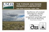 Resilience of crested wheatgrass stands: implications for rangeland seedings and structural diversity by Tom Monaco, ARS Forage and Range Research Lab