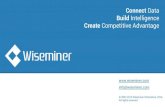 Wiseminer Software Overview EN