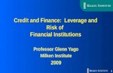 Credit and Finance: Leverage and Risk of Financial Institutions