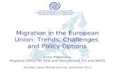 Anna Platonova - Labour migration in the European Union