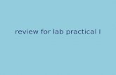 Review for Lab Practical