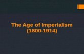 Age of Imperialism - Mayer's World History