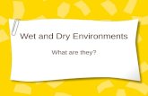Wet And Dry Environments