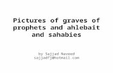 Pictures of Graves of Prophets and Ahlebait And