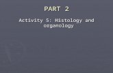 Activity Post Lab_ Animal Histology and Organology_part 2