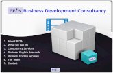 About BETA Business Development Consultancy