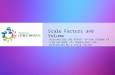 Scale Factors