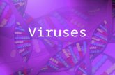 Viruses, Viroids, And Prions