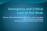 Emergency and critical care of birds