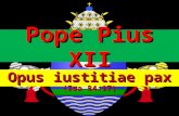 Pope Pius Xii Social Doctrinel