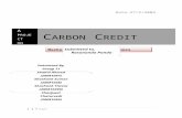 Carbon Credit Market structure