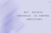 Key Success Variables as Control Indicators Chapter 2