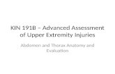 Kin 191 B – Abdomen And Thorax Anatomy And Evaluation