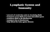 16 Lymphatic