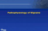 Pathophysiology of migraine