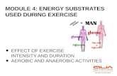 Module 4   mcc sports nutrition credit course - energy substrates used during exercise