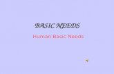 Basic Needs of Humans Year 4