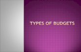 Types Of Budgets