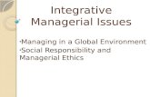 Integrative managerial issues