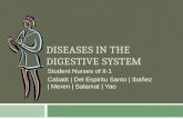 DISEASES IN THE DIGESTIVE SYSTEM - Student Nurses