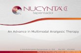 2010 nucynta core speaker slides