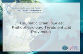 Traumatic Brain Injuries: Pathophysiology, Treatment and Prevention