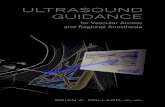 Ultrasound Guidance - Pollard
