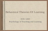 Behavioural Theories of learning