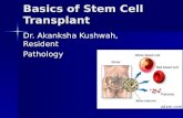 Basics of Stem Cell Transplant.ppt