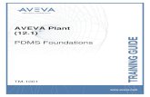 TM-1001 AVEVA Plant (12.1) PDMS Foundations Rev 3.0